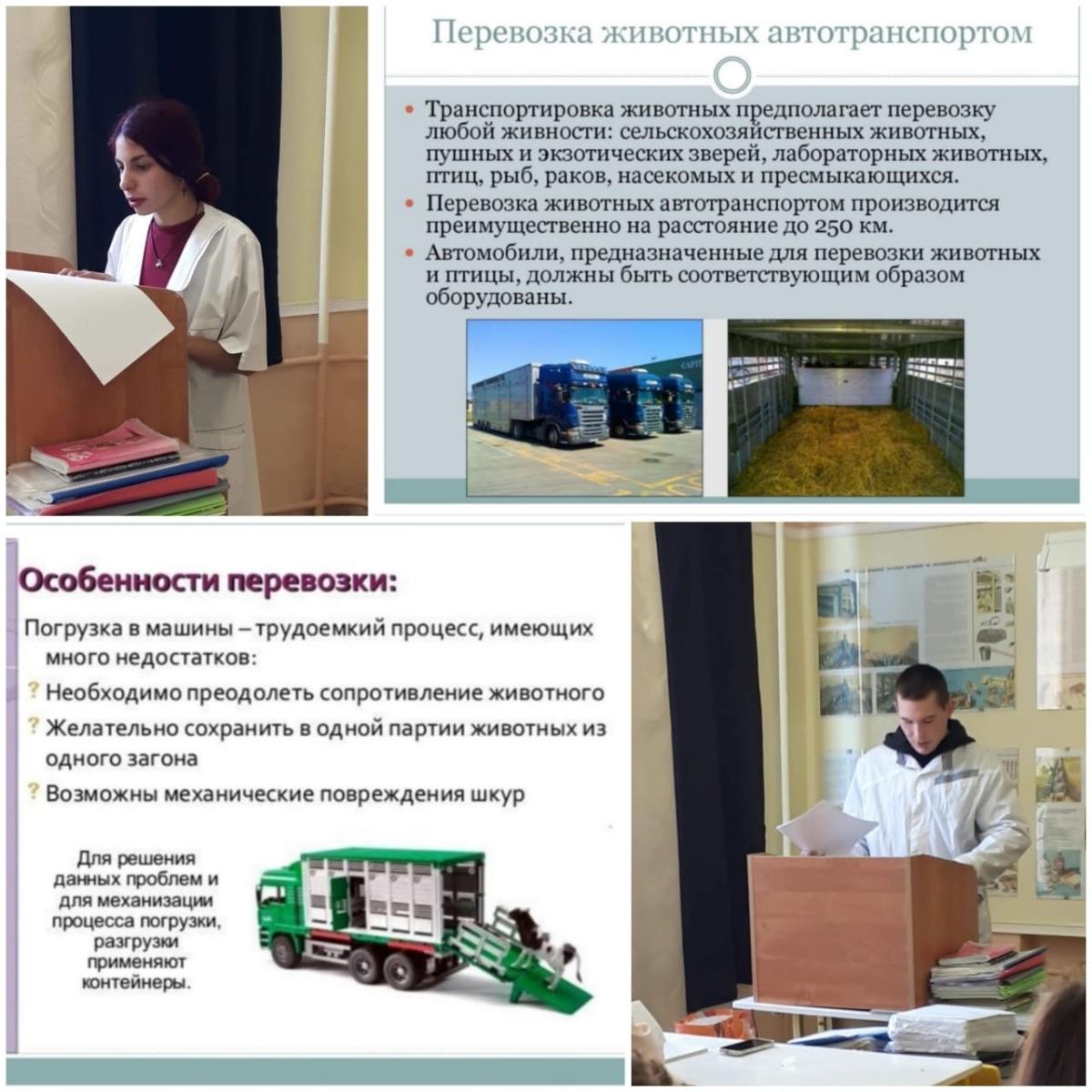 Учебные  будни ветеринаров. Фото 1