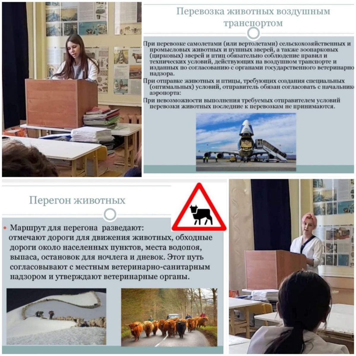 Учебные  будни ветеринаров. Фото 3