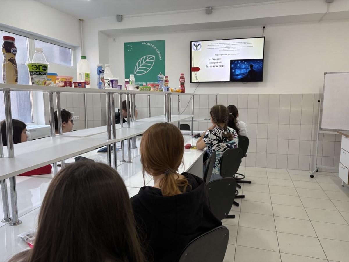 Кураторский час «Навыки цифровой безопасности» Фото 1