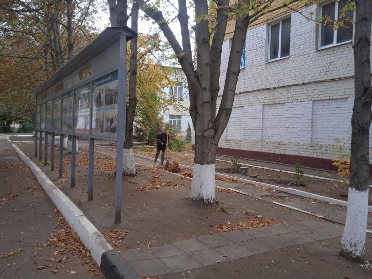 Институт ветеринарной медицины и фармации принял участие в общегородском субботнике Фото 4