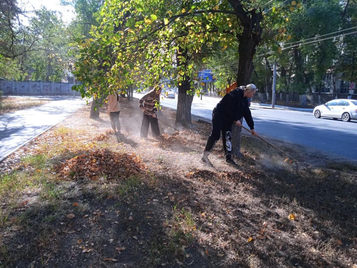 Институт ветеринарной медицины и фармации принял участие в общегородском субботнике Фото 7