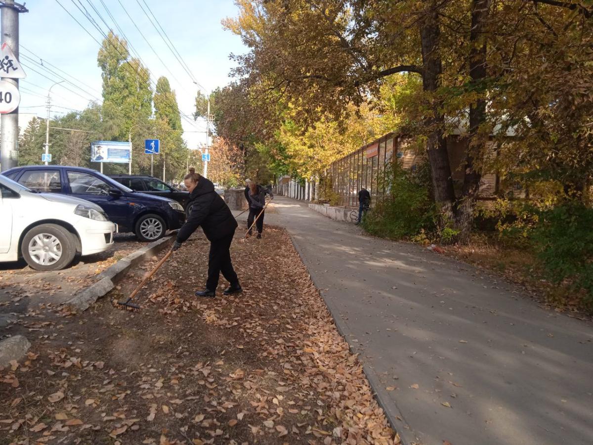 Студенты и преподаватели ИВМиФ приняли участие в общегородском субботнике