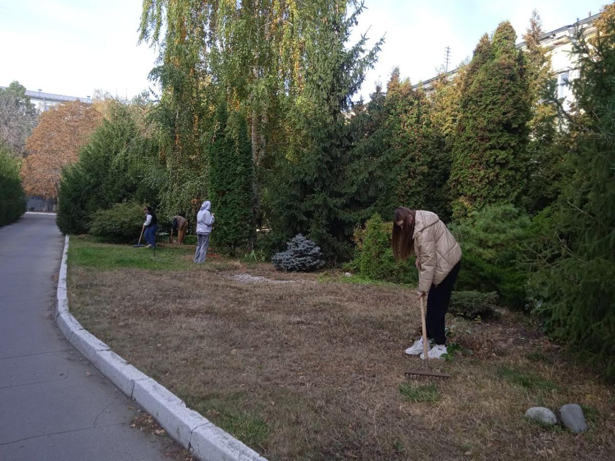 Студенты и преподаватели ИВМиФ приняли участие в общегородском субботнике Фото 2