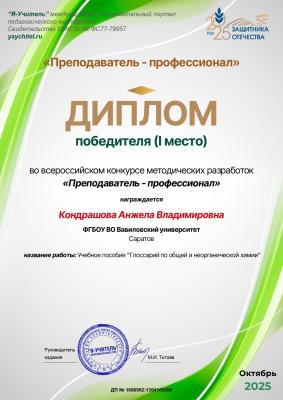 Преподаватель-профессионал