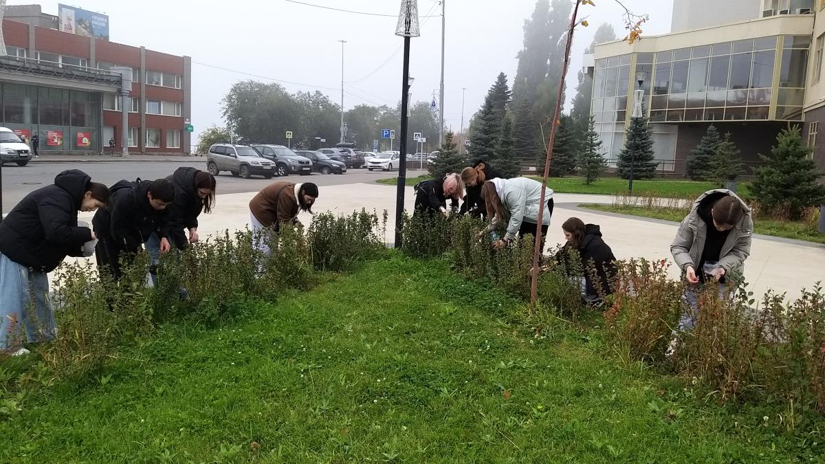 ПРАКТИЧЕСКОЕ  ЗАНЯТИЕ ПО ДЕКОРАТИВНОМУ РАСТЕНИЕВОДСТВУ Фото 3