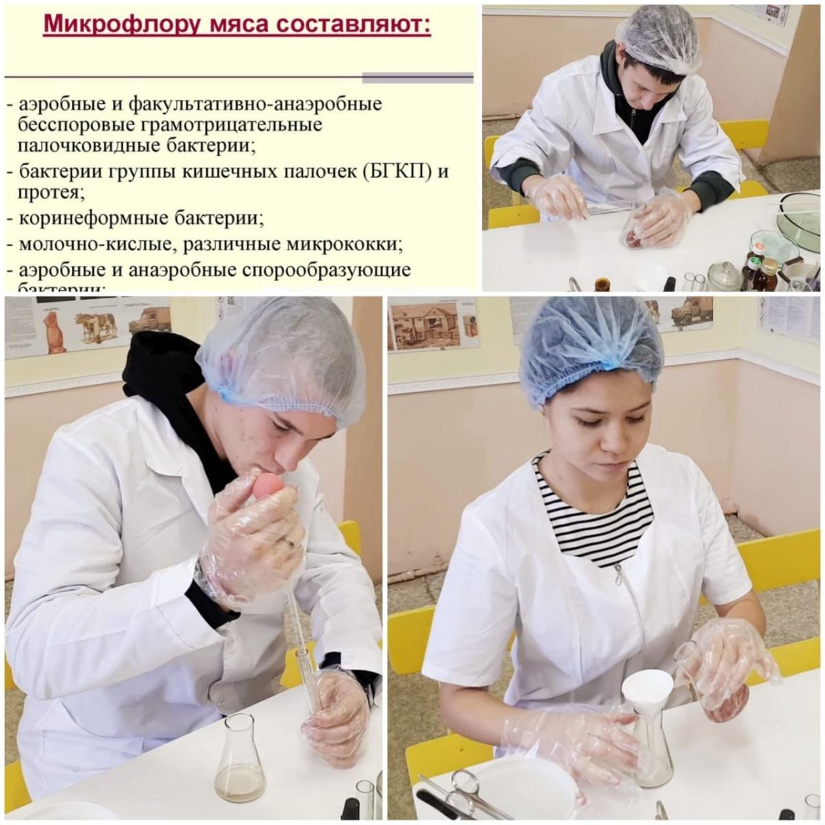 Учебные  будни  ветеринаров. Фото 1