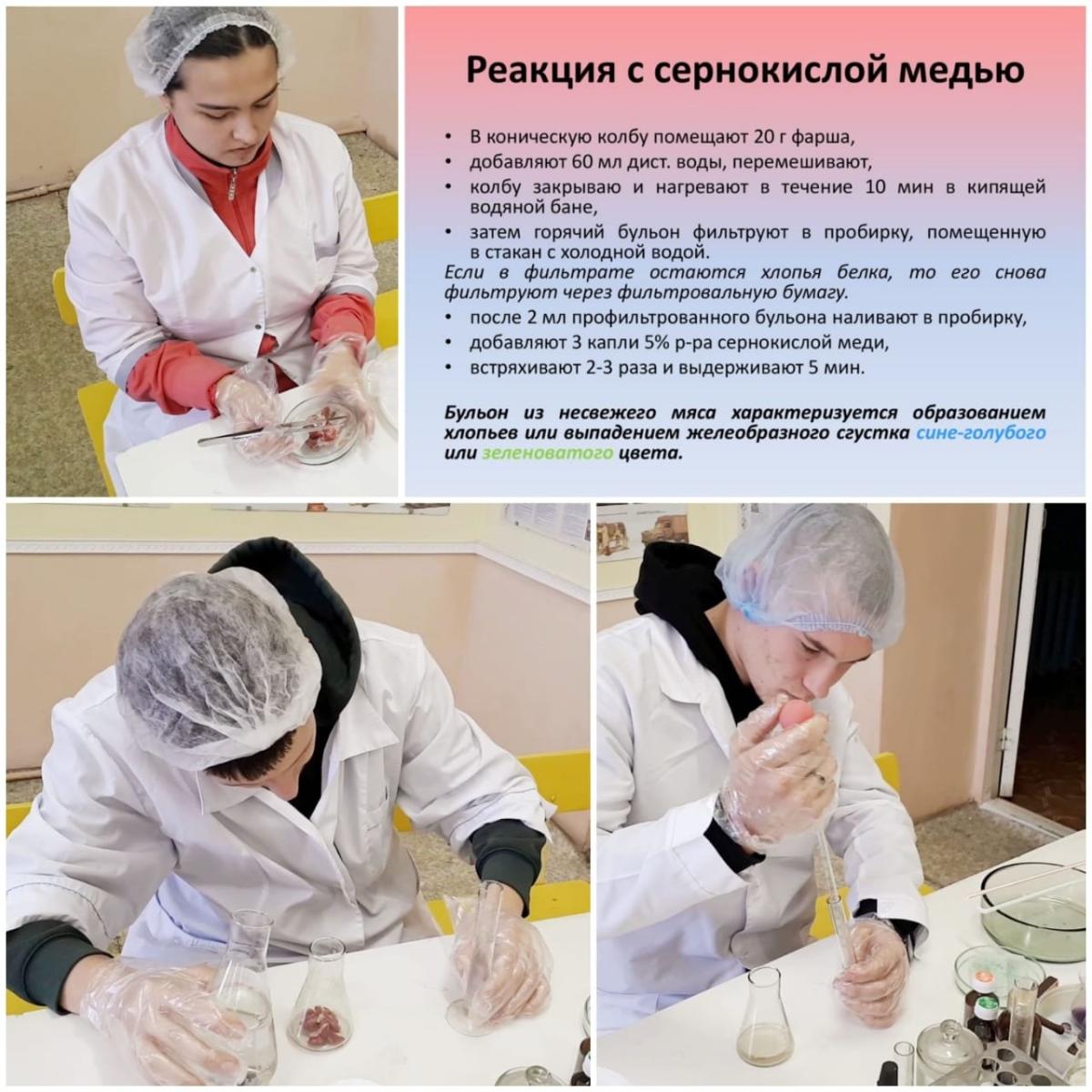 Учебные  будни  ветеринаров. Фото 3