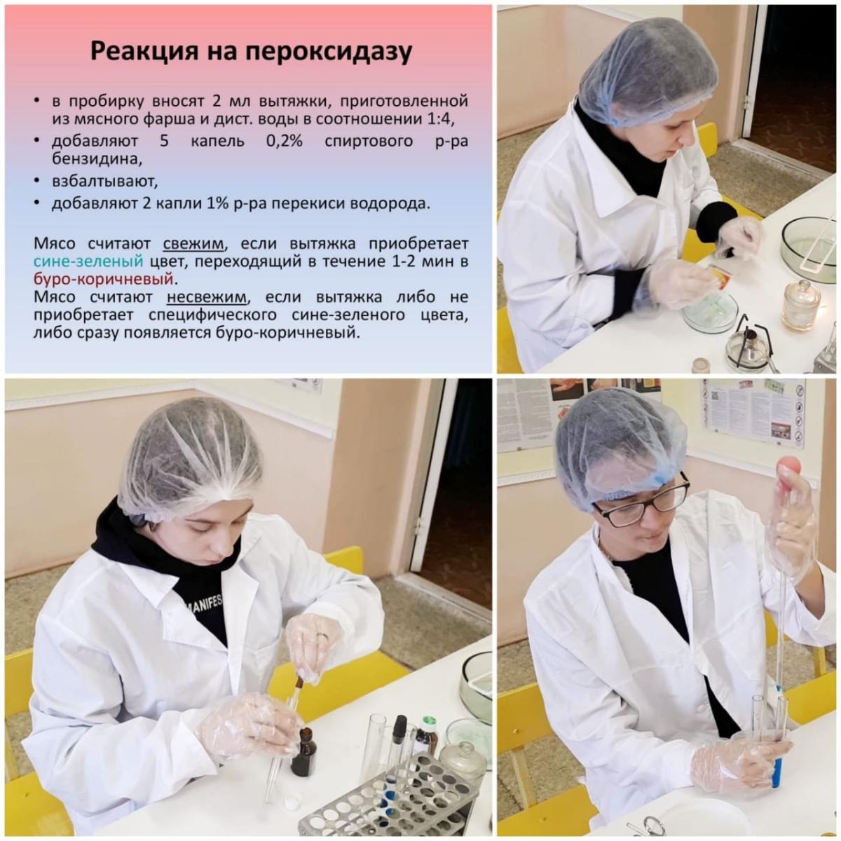 Учебные  будни  ветеринаров. Фото 4