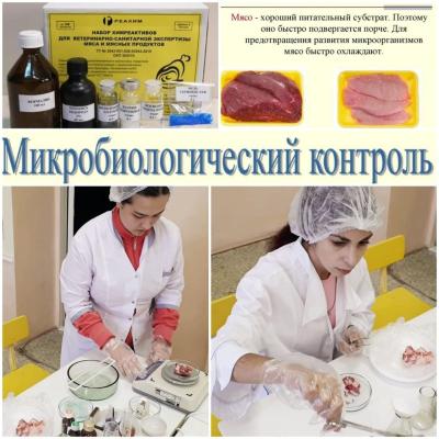 Учебные  будни  ветеринаров.