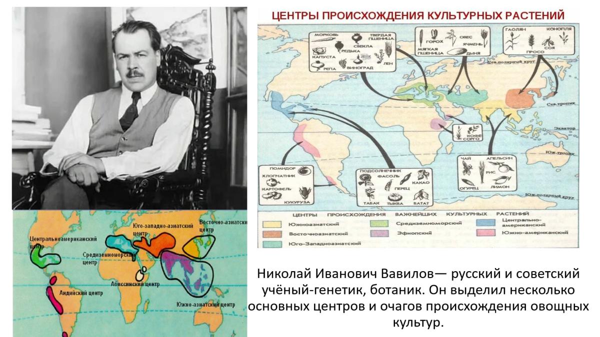 Неделя института генетики и агрономии