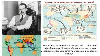 Неделя института генетики и агрономии Неделя института генетики и агрономии