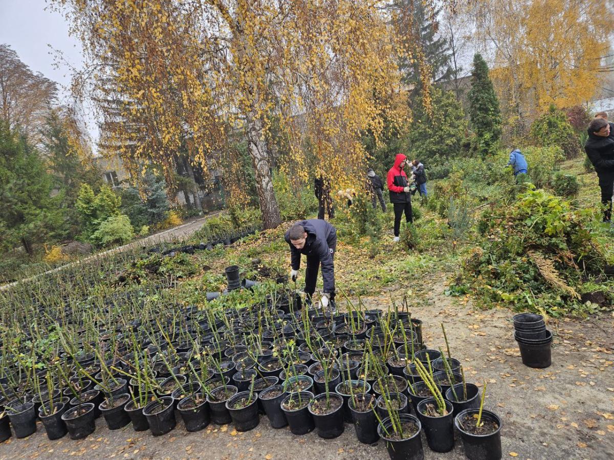 Участие студентов в подготовке питомников Агроцентра к зиме Фото 3