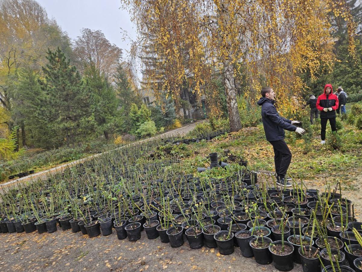 Участие студентов в подготовке питомников Агроцентра к зиме Фото 4