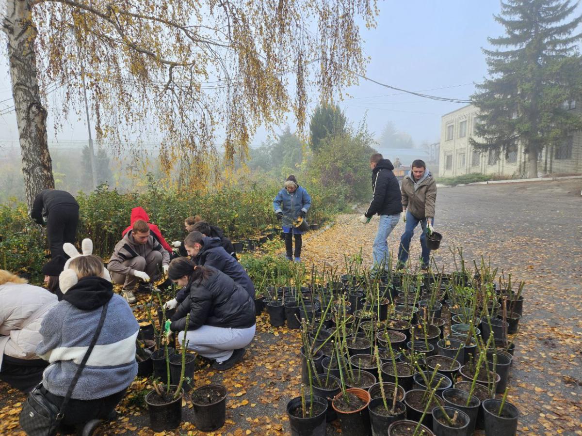 Участие студентов в подготовке питомников Агроцентра к зиме