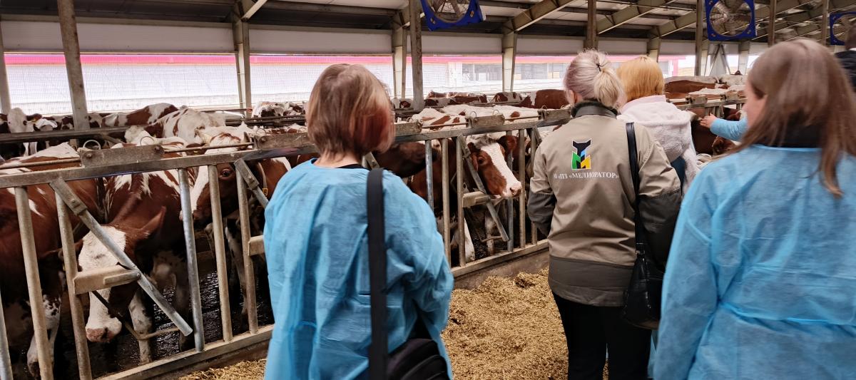 Экскурсия в АО «Племенной завод «Мелиоратор». Фото 1 Экскурсия в АО «Племенной завод «Мелиоратор». Фото 1
