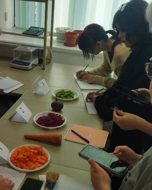 Практическое занятие на тему: «Дегустационная оценка плодов и овощей» Фото 4