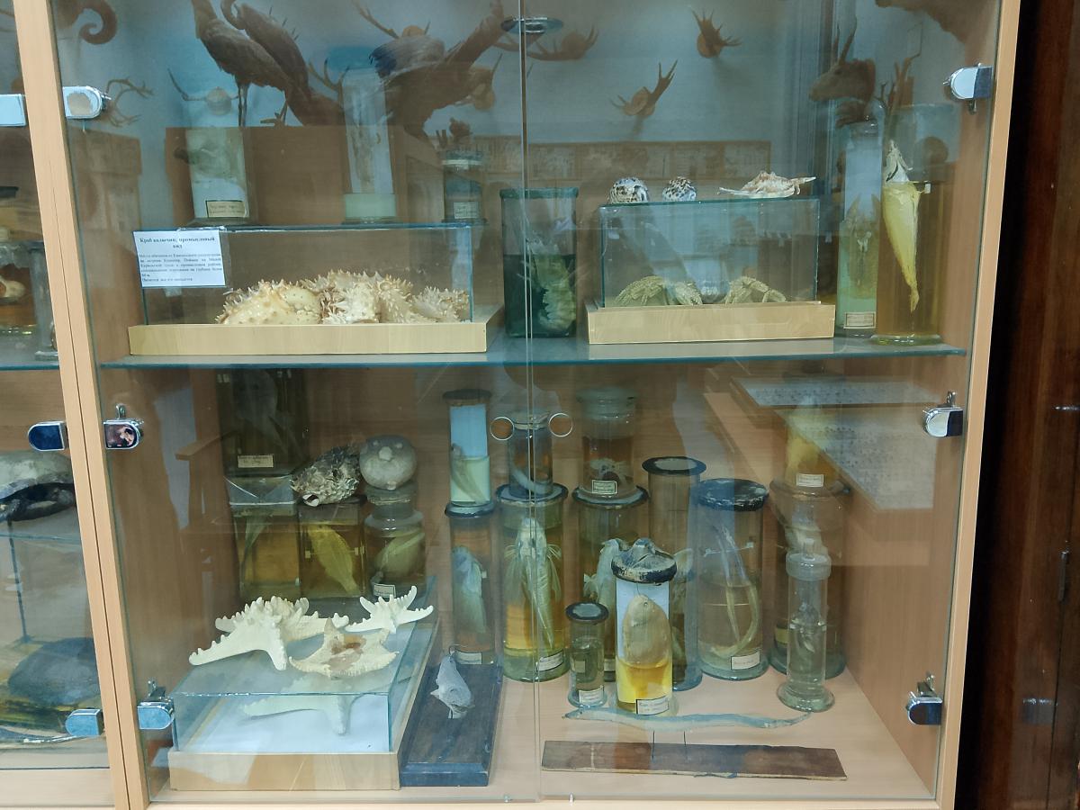 Кураторский час Фото 3 Кураторский час Фото 3