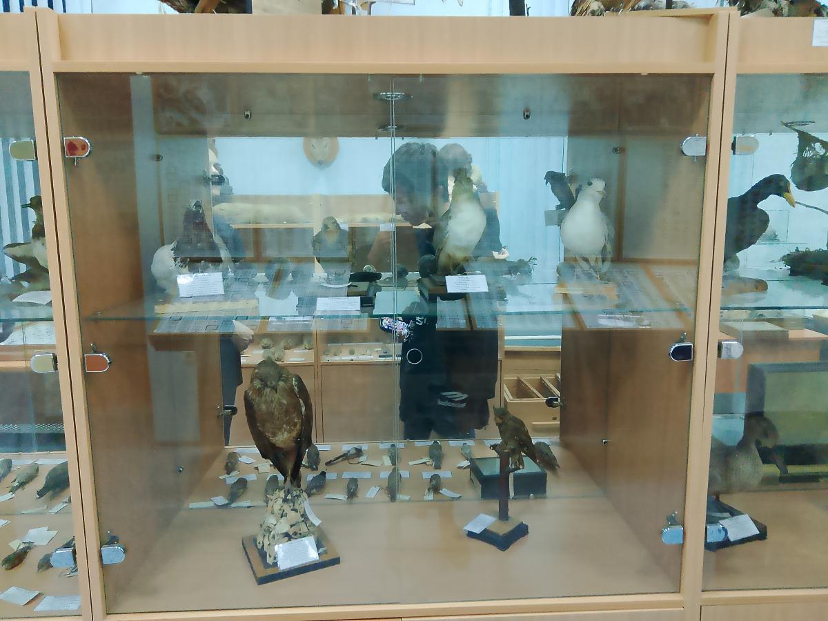 Кураторский час Фото 4 Кураторский час Фото 4