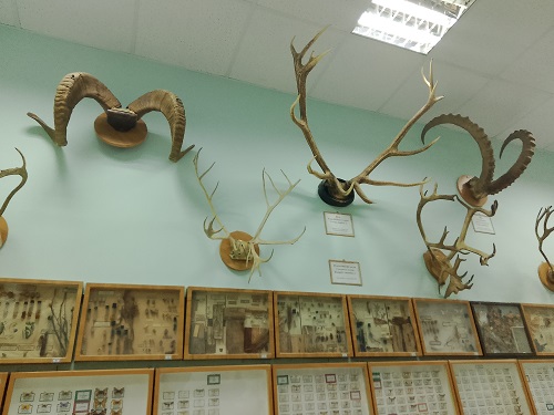 Кураторский час Фото 7 Кураторский час Фото 7