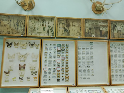 Кураторский час