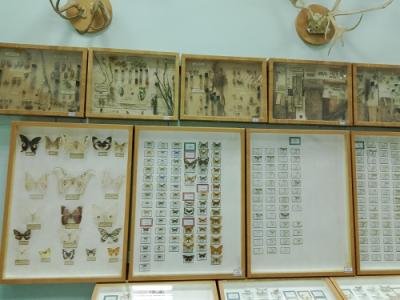 Кураторский час