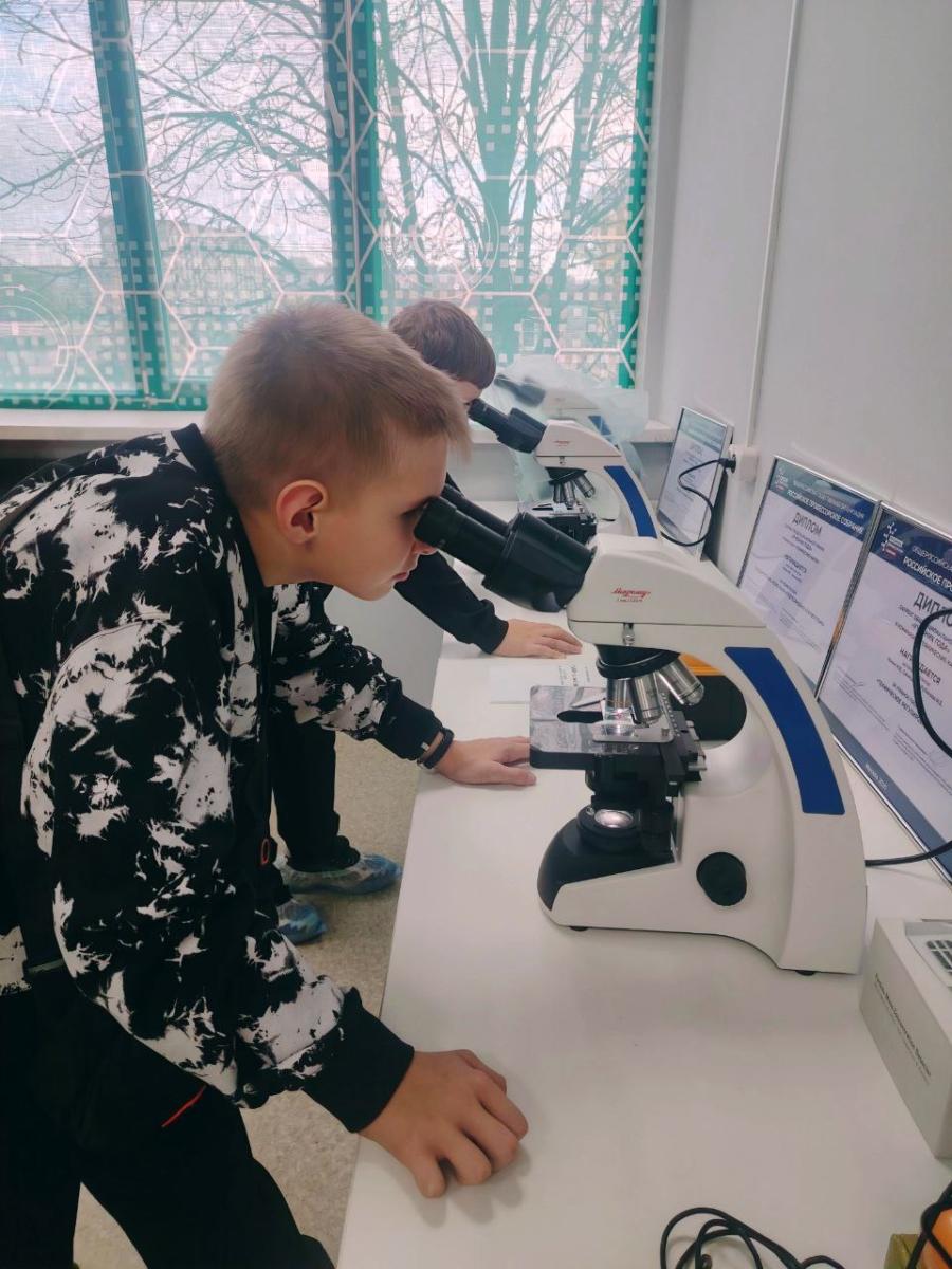 Подготовка будущих специалистов по управлению качеством: школьники раскрывают тайны натуральных красителей Фото 4