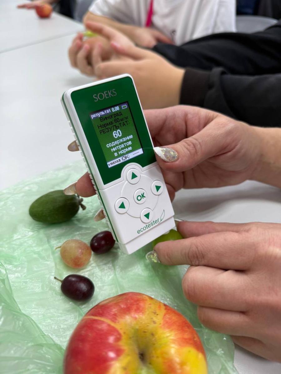 Подготовка будущих специалистов по управлению качеством: школьники раскрывают тайны натуральных красителей Фото 5