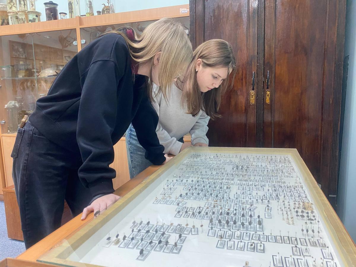 Петровские школьники посетили Вавиловский университет с экскурсией Фото 15 Петровские школьники посетили Вавиловский университет с экскурсией Фото 15