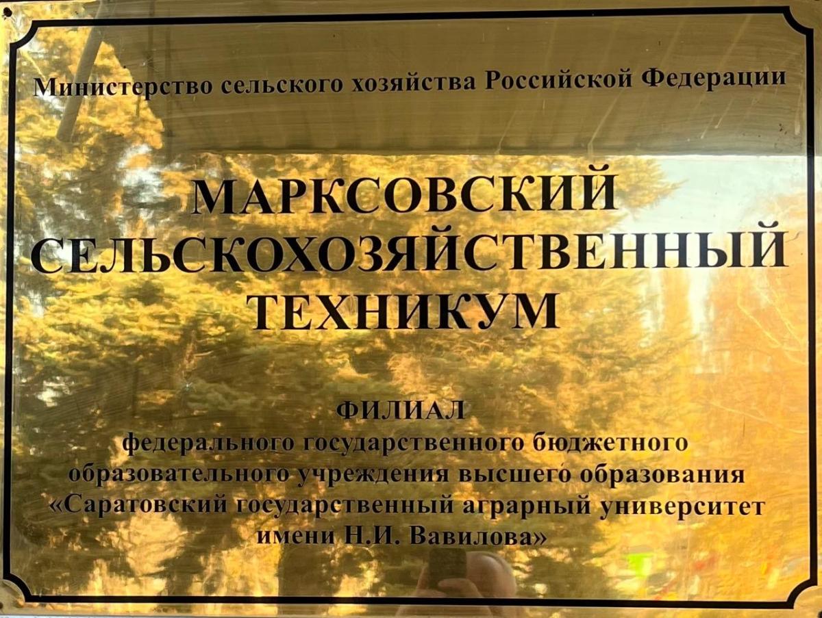 Профориентационная работа Фото 7