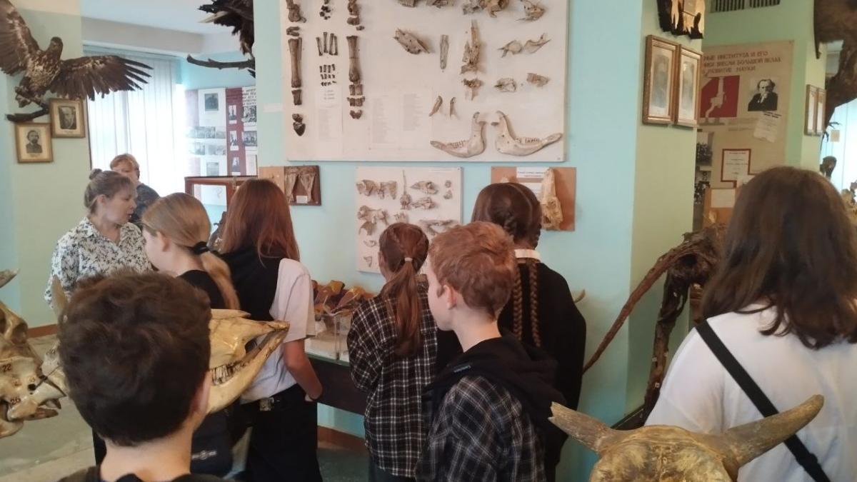 Экскурсия в музей анатомии для школьников 6 класса МОУ гимназия №5 г. Саратова Фото 1 Экскурсия в музей анатомии для школьников 6 класса МОУ гимназия №5 г. Саратова Фото 1