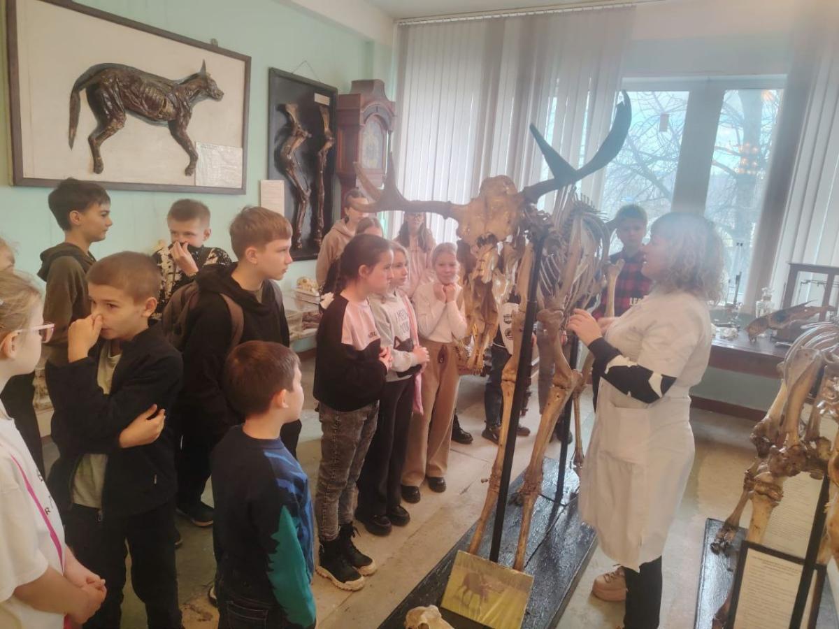 Профориентационная работа с учащимися 5 класса МОУ СОШ №94 г. Саратова