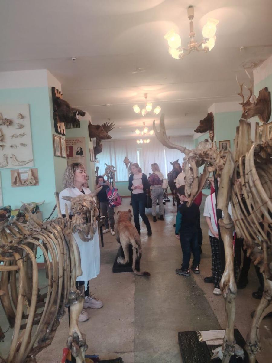 Профориентационная работа с учащимися 5 класса МОУ СОШ №94 г. Саратова Фото 1 Профориентационная работа с учащимися 5 класса МОУ СОШ №94 г. Саратова Фото 1