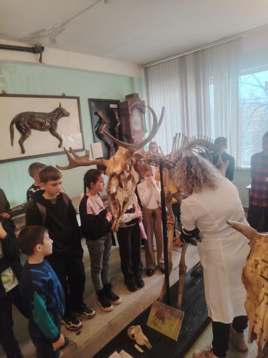 Профориентационная работа с учащимися 5 класса МОУ СОШ №94 г. Саратова Фото 2 Профориентационная работа с учащимися 5 класса МОУ СОШ №94 г. Саратова Фото 2