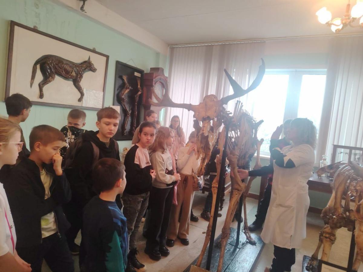 Профориентационная работа с учащимися 5 класса МОУ СОШ №94 г. Саратова Фото 3 Профориентационная работа с учащимися 5 класса МОУ СОШ №94 г. Саратова Фото 3