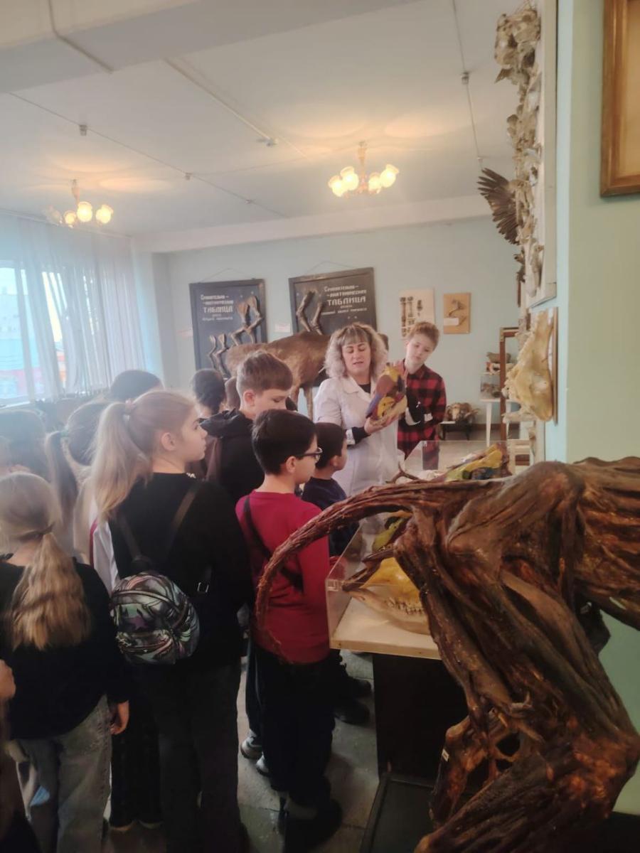 Профориентационная работа с учащимися 5 класса МОУ СОШ №94 г. Саратова Фото 4 Профориентационная работа с учащимися 5 класса МОУ СОШ №94 г. Саратова Фото 4