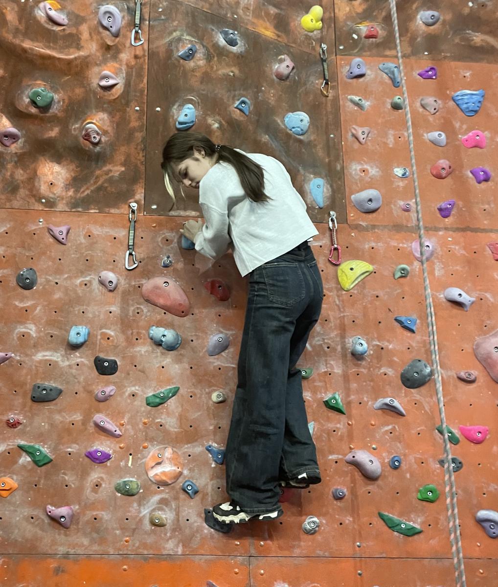 Будущее в наших руках: Профориентационная встреча со школьниками в Вавиловском университете. Фото 6