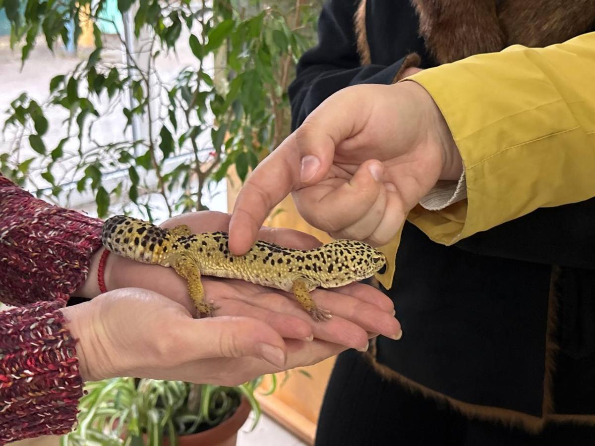 Посещение Областного центра экологии, краеведения и туризма Фото 2