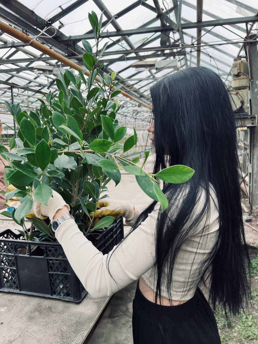 Выездные практические занятия на базе УНПК «Агроцентр» Фото 1 Выездные практические занятия на базе УНПК «Агроцентр» Фото 1