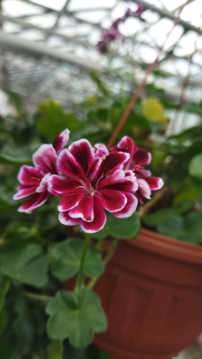 Выездные практические занятия на базе УНПК «Агроцентр» Фото 3 Выездные практические занятия на базе УНПК «Агроцентр» Фото 3