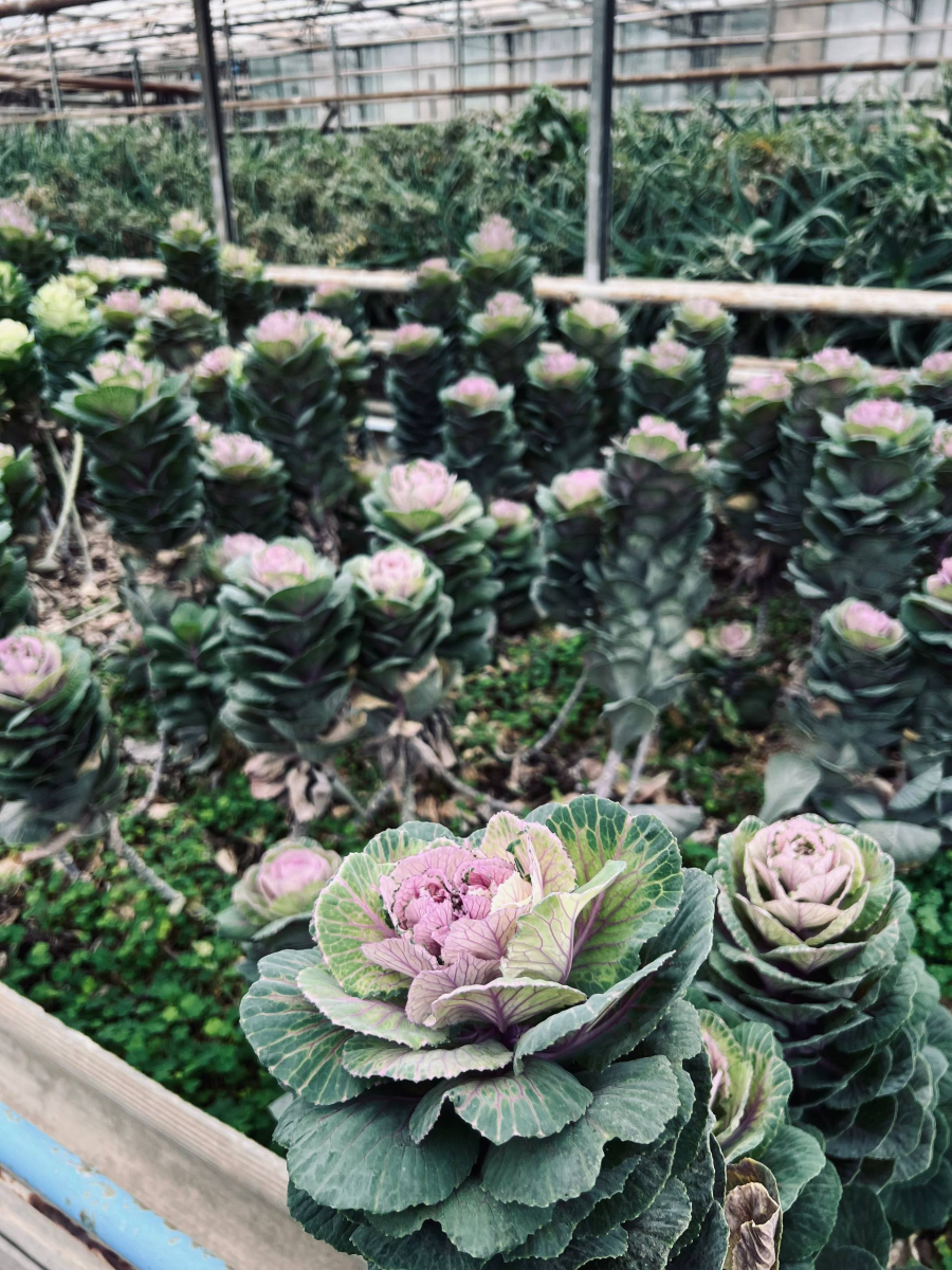 Выездные практические занятия на базе УНПК «Агроцентр» Фото 6 Выездные практические занятия на базе УНПК «Агроцентр» Фото 6