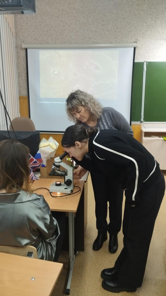 Мастер-класс «Скелетный дизайн» для участников инновационной программы «Агроклассы» Фото 3