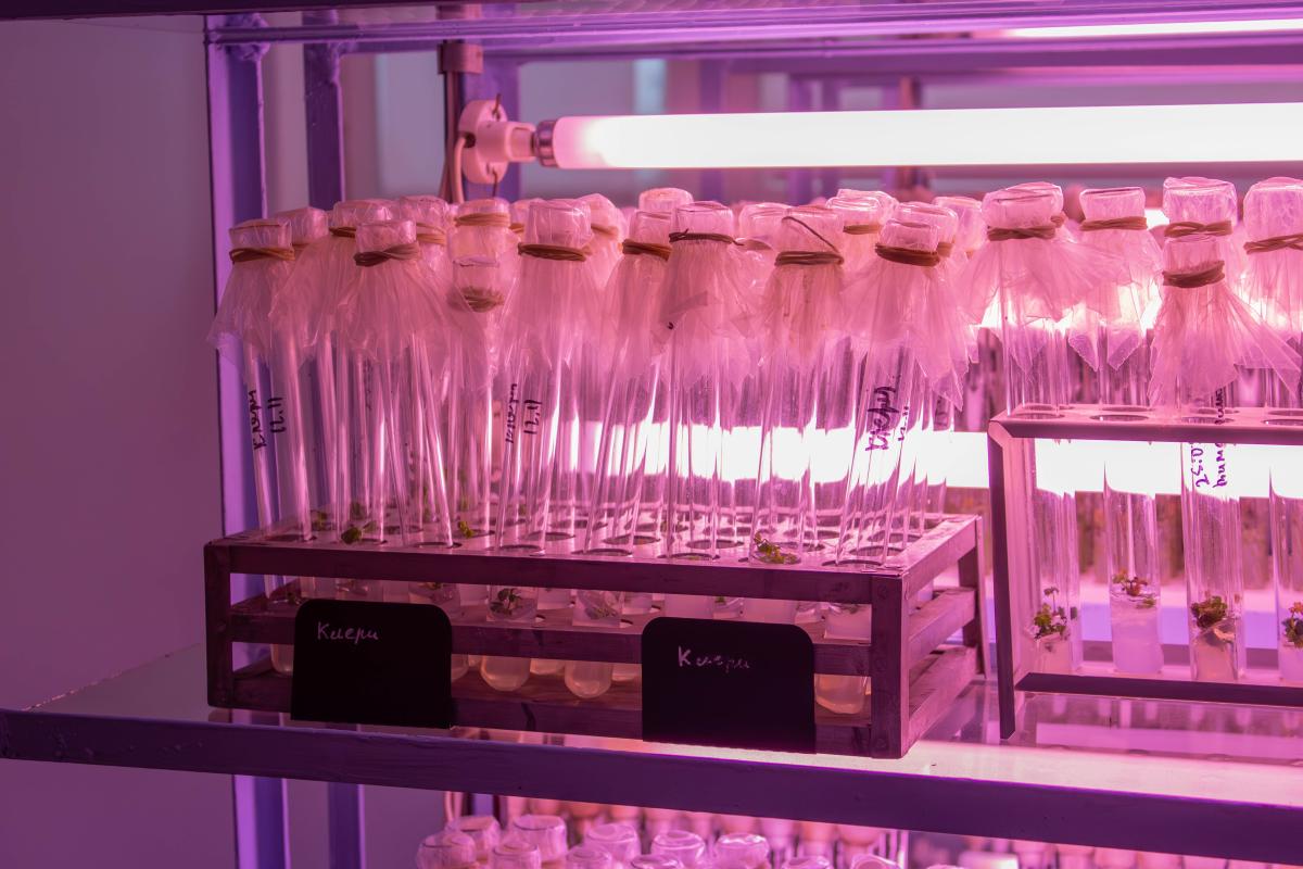 Экскурсия с учениками 10 класса города Аткарска Фото 2 Экскурсия с учениками 10 класса города Аткарска Фото 2