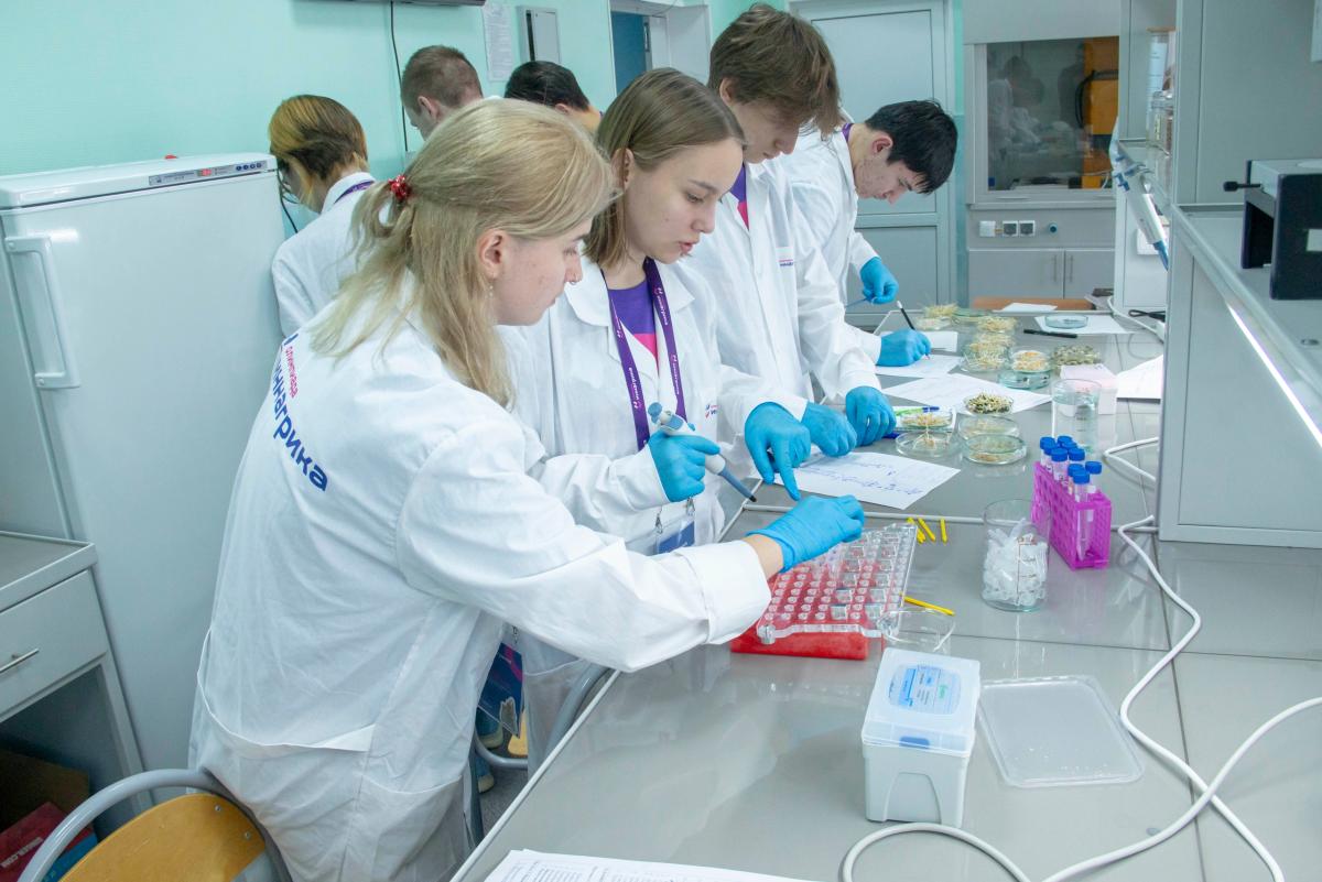 В Вавиловском университете открылся очный полуфинал олимпиады «Иннагрика» Фото 10 В Вавиловском университете открылся очный полуфинал олимпиады «Иннагрика» Фото 10