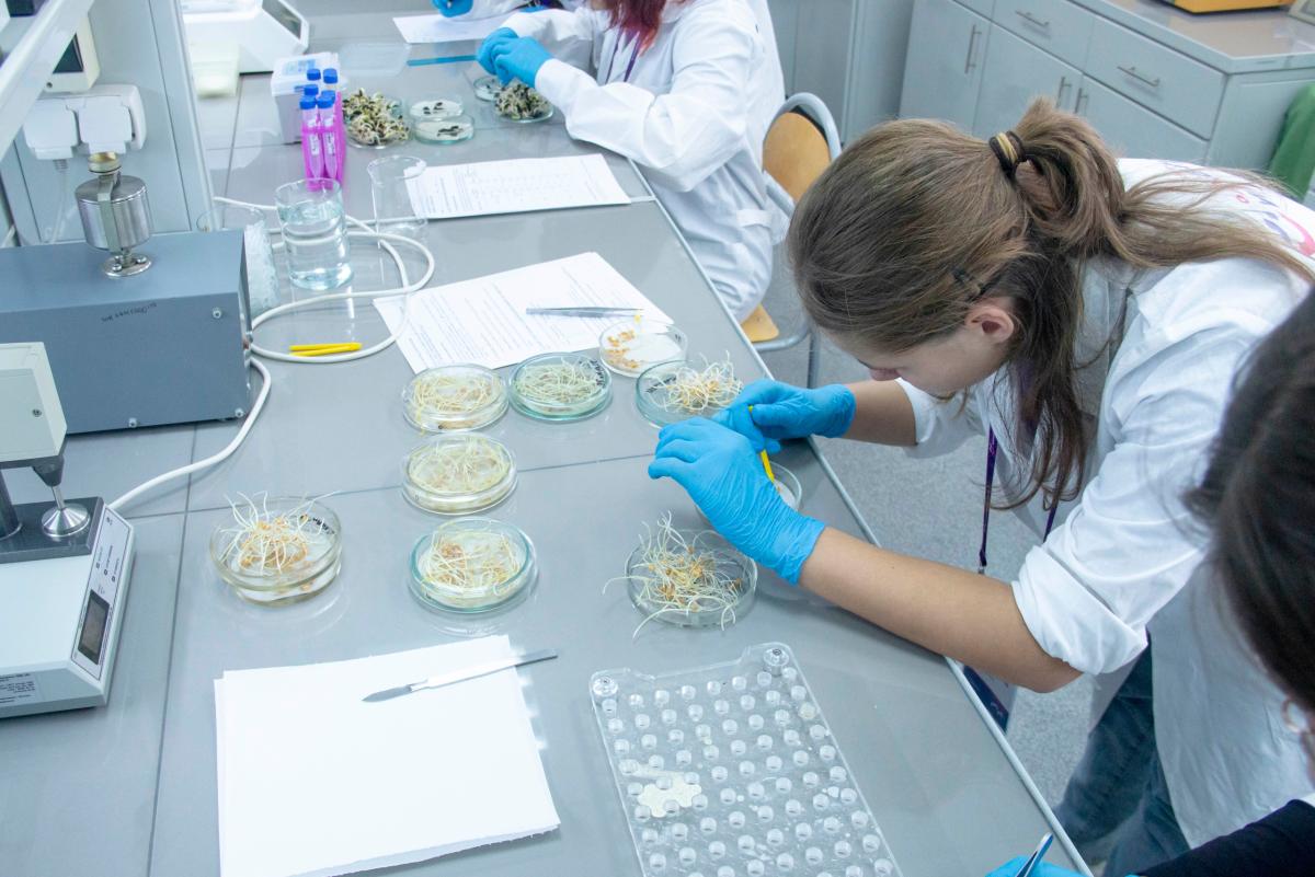 В Вавиловском университете открылся очный полуфинал олимпиады «Иннагрика» Фото 11 В Вавиловском университете открылся очный полуфинал олимпиады «Иннагрика» Фото 11