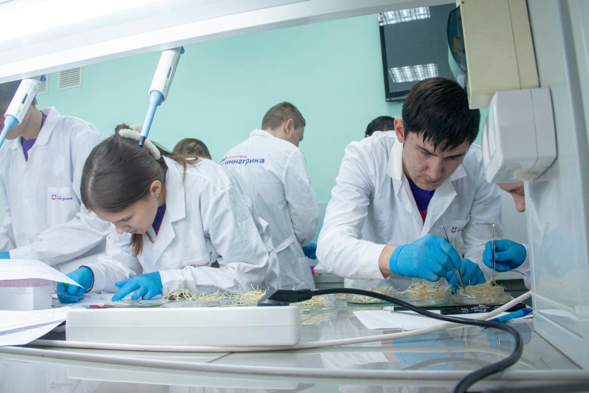 В Вавиловском университете открылся очный полуфинал олимпиады «Иннагрика» Фото 12 В Вавиловском университете открылся очный полуфинал олимпиады «Иннагрика» Фото 12