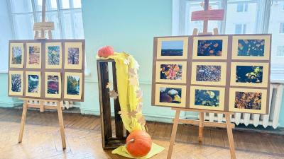 Фотовыставка "Осенний калейдоскоп: моменты которые вдохновляют»