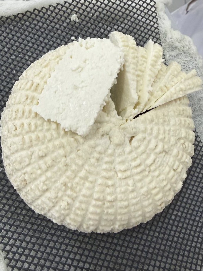 Учебная практика "Производство различных видов сыра и продуктов из молочной сыворотки" Фото 8