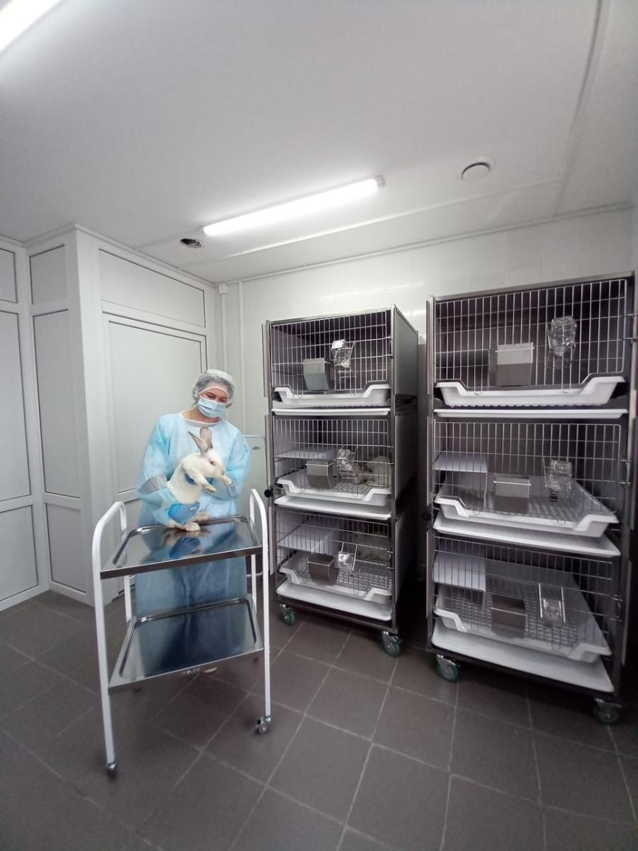 Билет в будущее. Фото 3 Билет в будущее. Фото 3