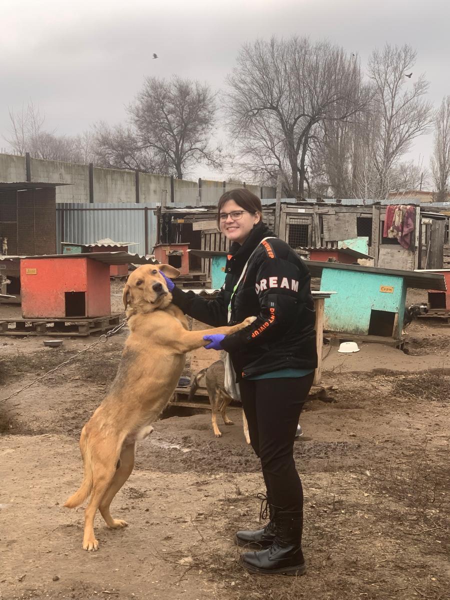Плановая вакцинация в приюте "Доброе сердце" Фото 3