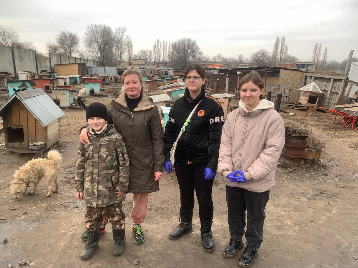 Плановая вакцинация в приюте 